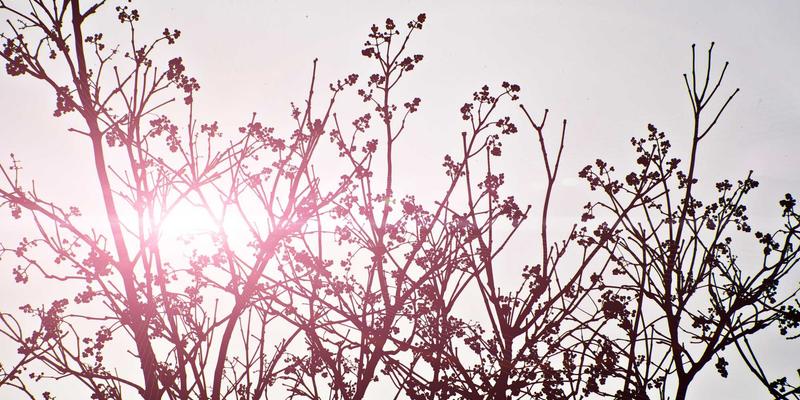 CBA球员动态与篮球资讯：科学预防运动损伤与高效康复指南