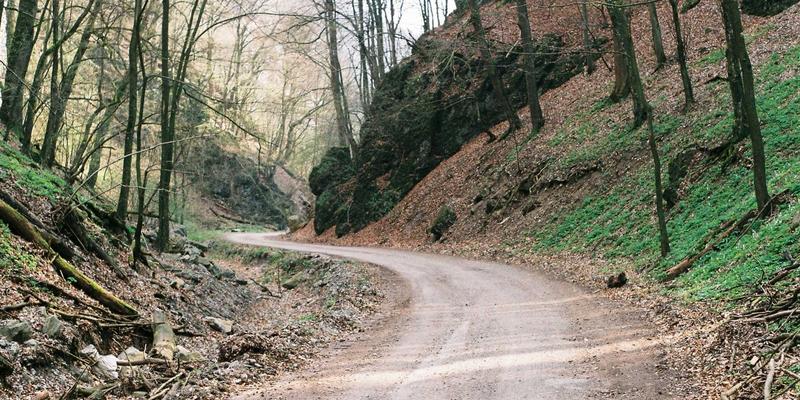 CBA赛场背后的科学密码：生物力学解析投篮弧线、旋转如何决定命中率