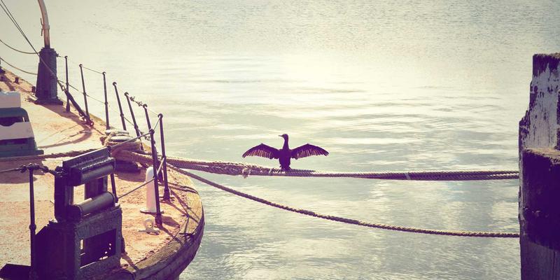 从NBA赛事新闻到社区实践：如何为孩子科学选择篮球训练营与教练