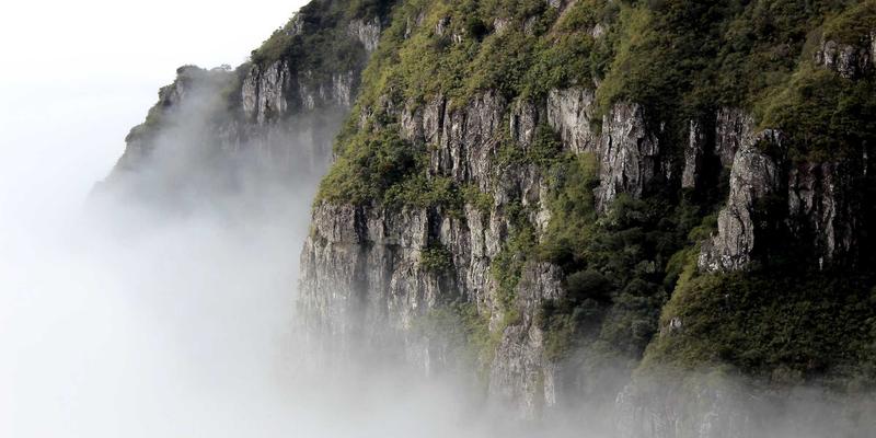 从球场到云端：篮球趋势如何重塑球迷交流与运动社区生态