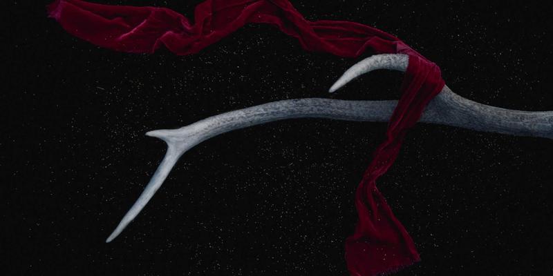 欧洲篮球体系深度观察：青训模式与战术哲学如何逆向影响NBA