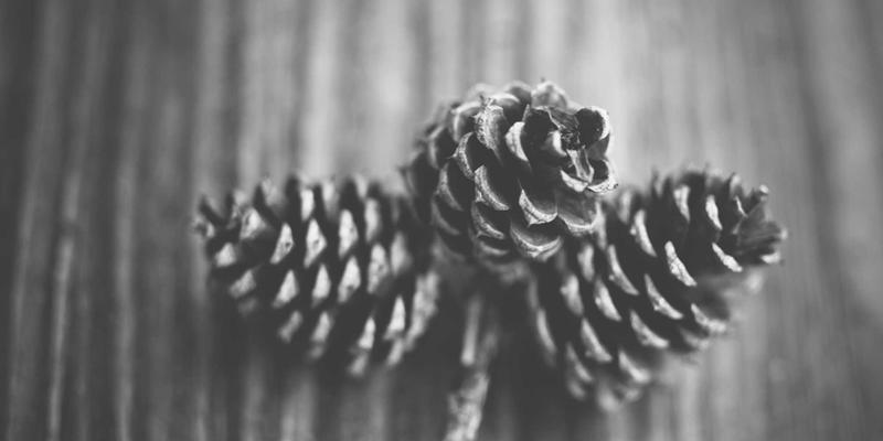 篮球31战术深度解析：CBA新赛季球员动态与战术变革