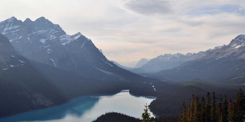 篮球41：从NBA到CBA，赛事新闻背后的数字密码与篮球文化共振