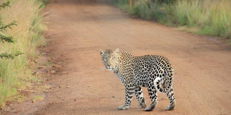 篮球42度热浪：最新赛事新闻、球员动态与深度资讯全解析