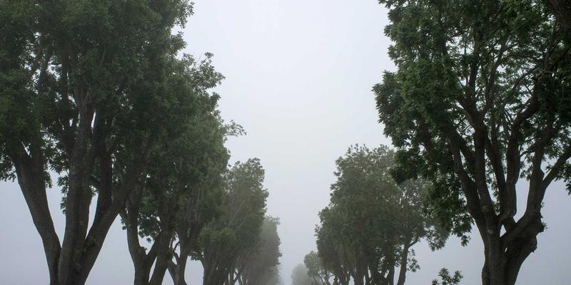 篮球43：在运动社区中获取深度篮球资讯与战术解析