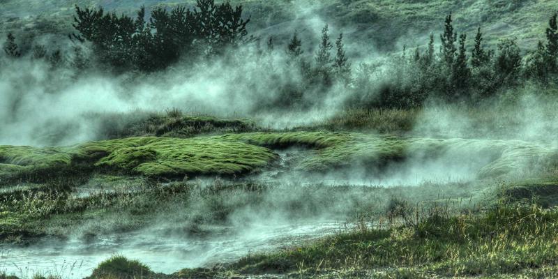 篮球5：球员动态与运动社区的全景洞察