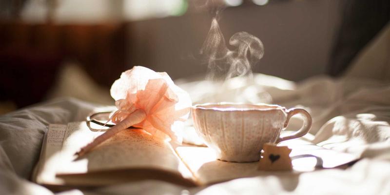 篮球89：从球迷交流到战术深析，构建你的篮球智慧体系