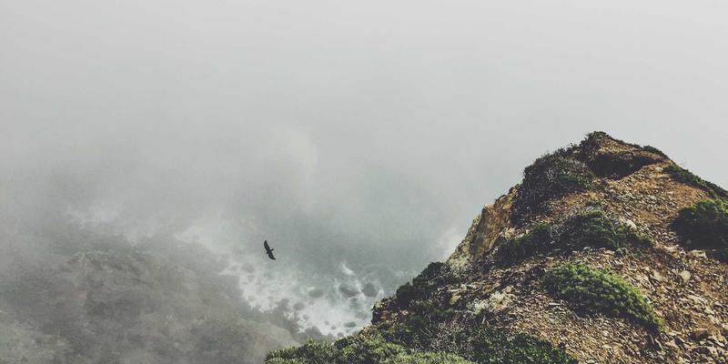 篮球95：连接球员动态与球迷交流的数字新阵地