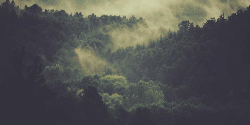 篮球全球化浪潮：欧洲联赛与NBA在培养模式与比赛风格上的战术差异