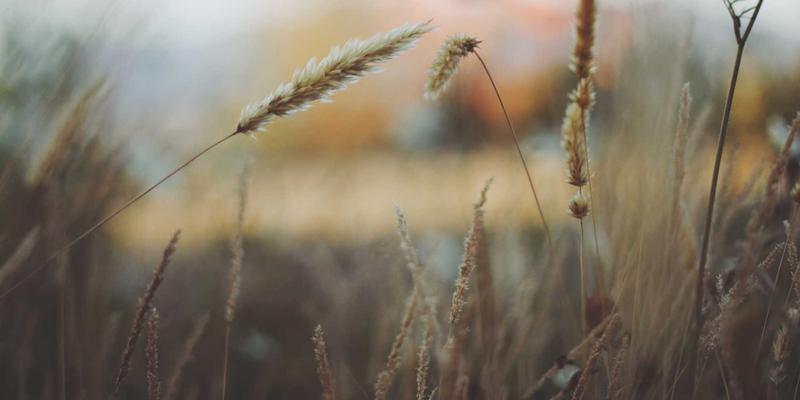 篮球资讯 | 解析球员动态背后的科学：NBA球星投篮、起跳与变向的生物力学原理