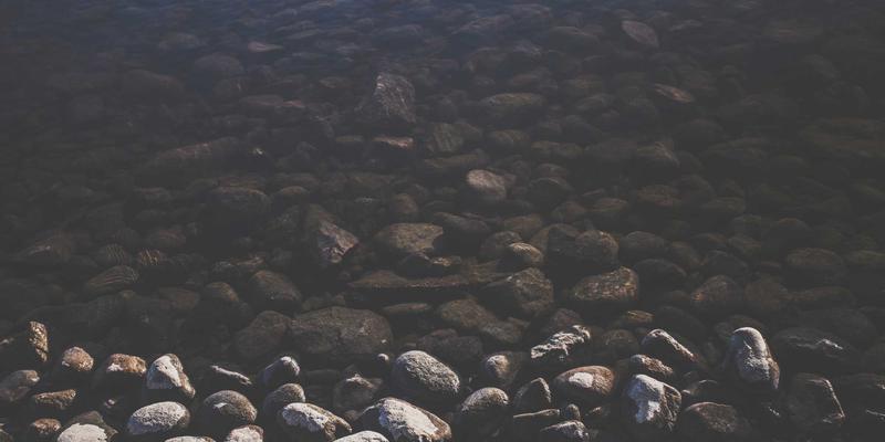 篮球风云：最新球员动态与深度资讯解读